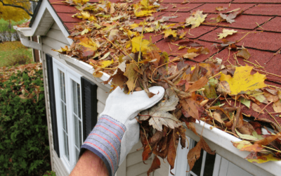 Essential Maintenance Tips for New Homeowners