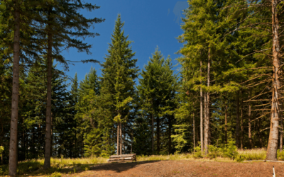 When to Consult a Builder for Your Dream Home